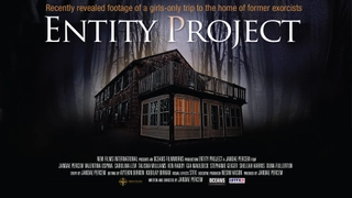 Entity Project