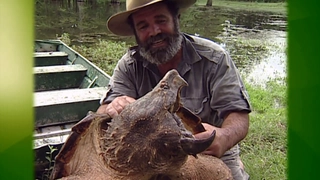 S3:E11 Creatures From The Black Lagoon