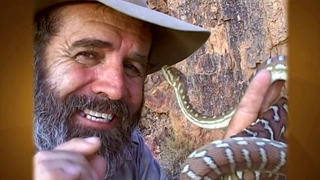 S3:E6 Danger Down Under