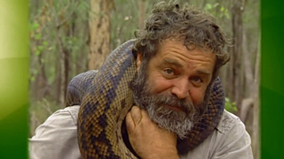 S3:E3 Crawling Killers