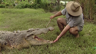 S3:E2 Blood in the Water