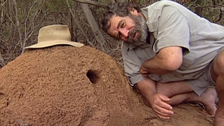 S2:E9 Timeless Island