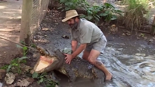 S2:E5 Wild in the Park