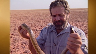 S2:E4 Deadliest in the Desert