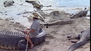 S2:E2- Survival Instinct