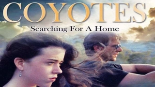 Coyotes