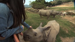 S3:E14- Amazing Wildlife