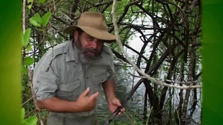 S1:E13 Crocodiles: Built to Kill