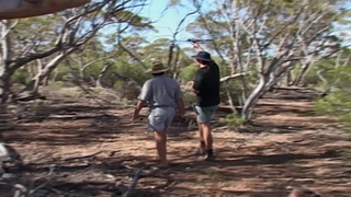 S1:E9 Marsupial Carnivores