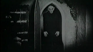 Part 13- Cinema