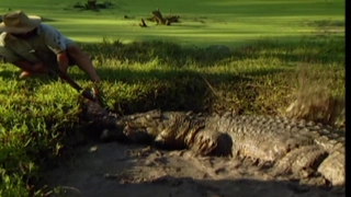 S1:E3 Crocodiles