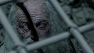 Part 1: The Protectors