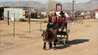 S4:E2 Cowboy For A Day