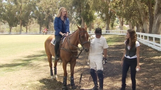 S4:E13 Equestrian Adventures