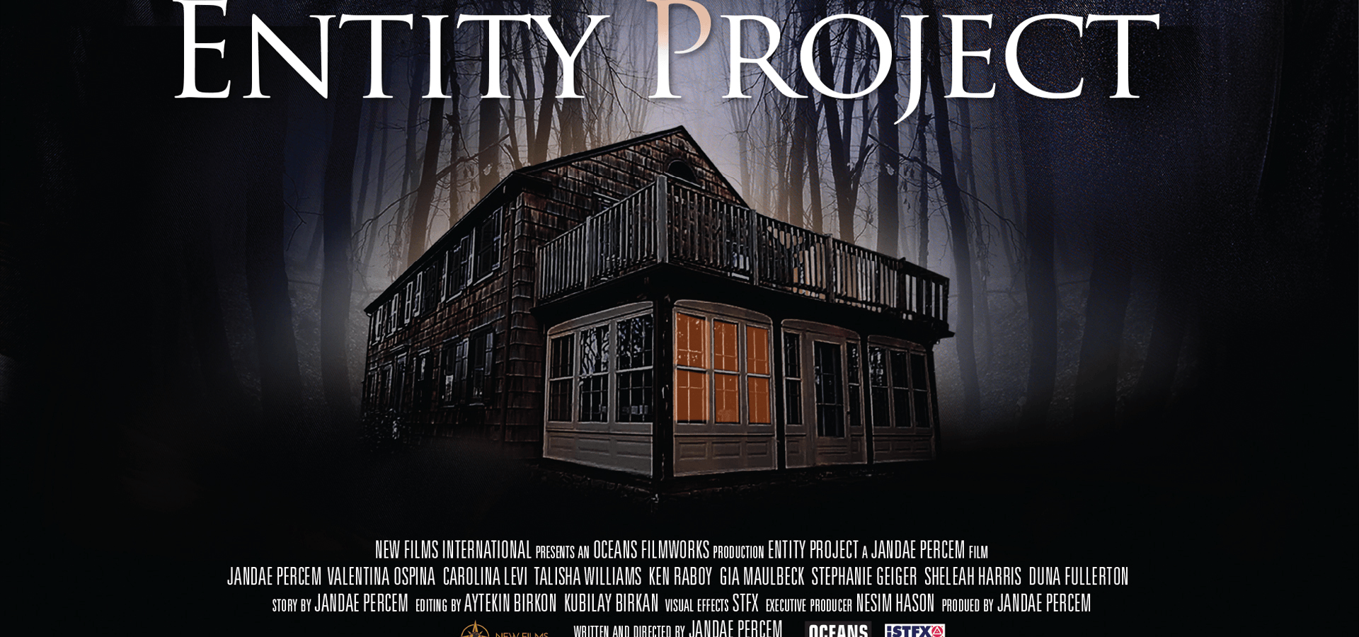 Entity Project