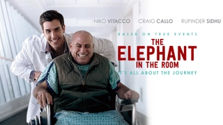 The Elephant in the Room