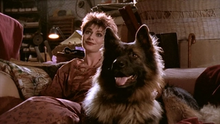 E11- The Skeleton in the Cupboard