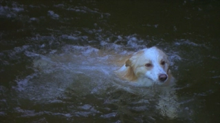 E2- The Secret Island: Part 2