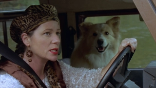 E17- The Secret Mountain: Part 1