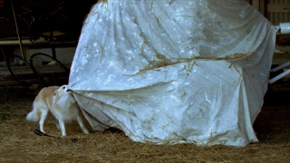 E19- The Secret Mountain: Part 3