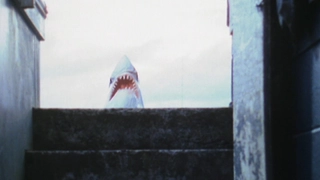 E12- Book 4: The Sea of Adventure: Part 3