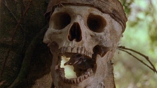 E6: The Ghost of Raven Jones