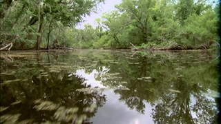 S5:E12 Southern Louisiana