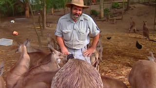 S4:E3 Zoo On The Move