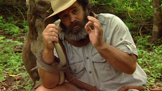 S5:E5 Bredl Bites Back