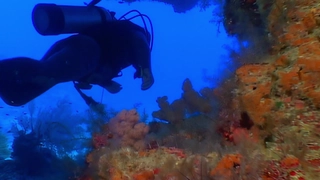 S4:E4 Liquid of Life