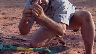 S5:E7 Unusual Reptiles