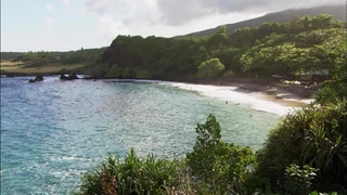 S6:E18 Hawaiian Dreams