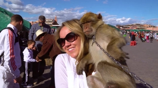 S10:E2 Exotic Journeys