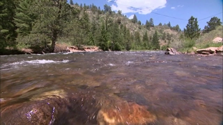 S8:E12 Colorado