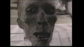 S4:E13 DNA Fortune Telling