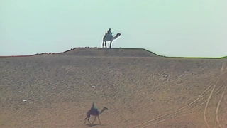 S1:E4 Endangered Morocco