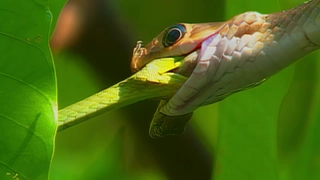 S2:E23 The Ecosystem