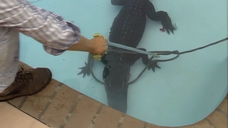 S3:E20 Ravenous Reptiles