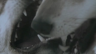 S3:E26 Clever Canines