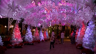 S18:E5 Costumes and Culture