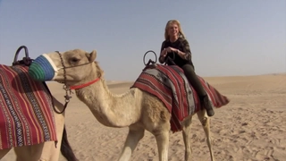 S18:E14 Getting Around In Style