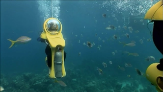 S17:E17 Island Hopping