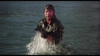 Remembering Chuck Norris