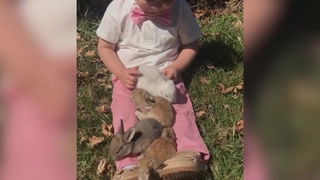 World's Funniest Animals Spring Fling Special