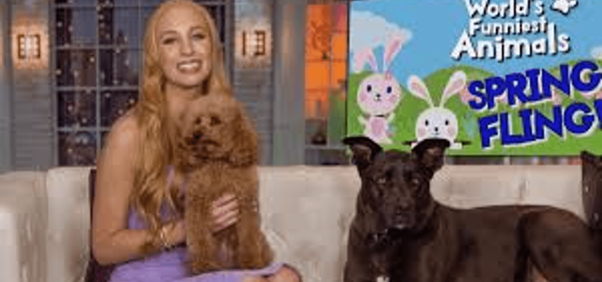 World’s Funniest Animals Spring Fling