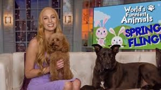 World's Funniest Animals Spring Fling