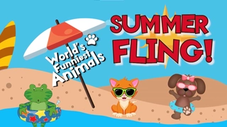 World's Funniest Animals Summer Fling