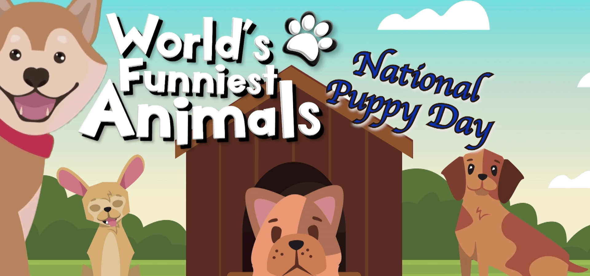 World’s Funniest Animals: National Puppy Day Special