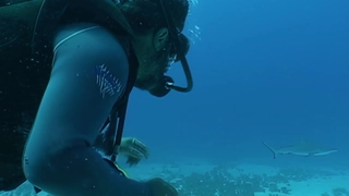 S2:E13 Diving The Yongala