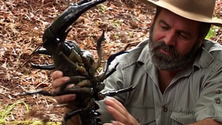 S2:E12 Devil's Island